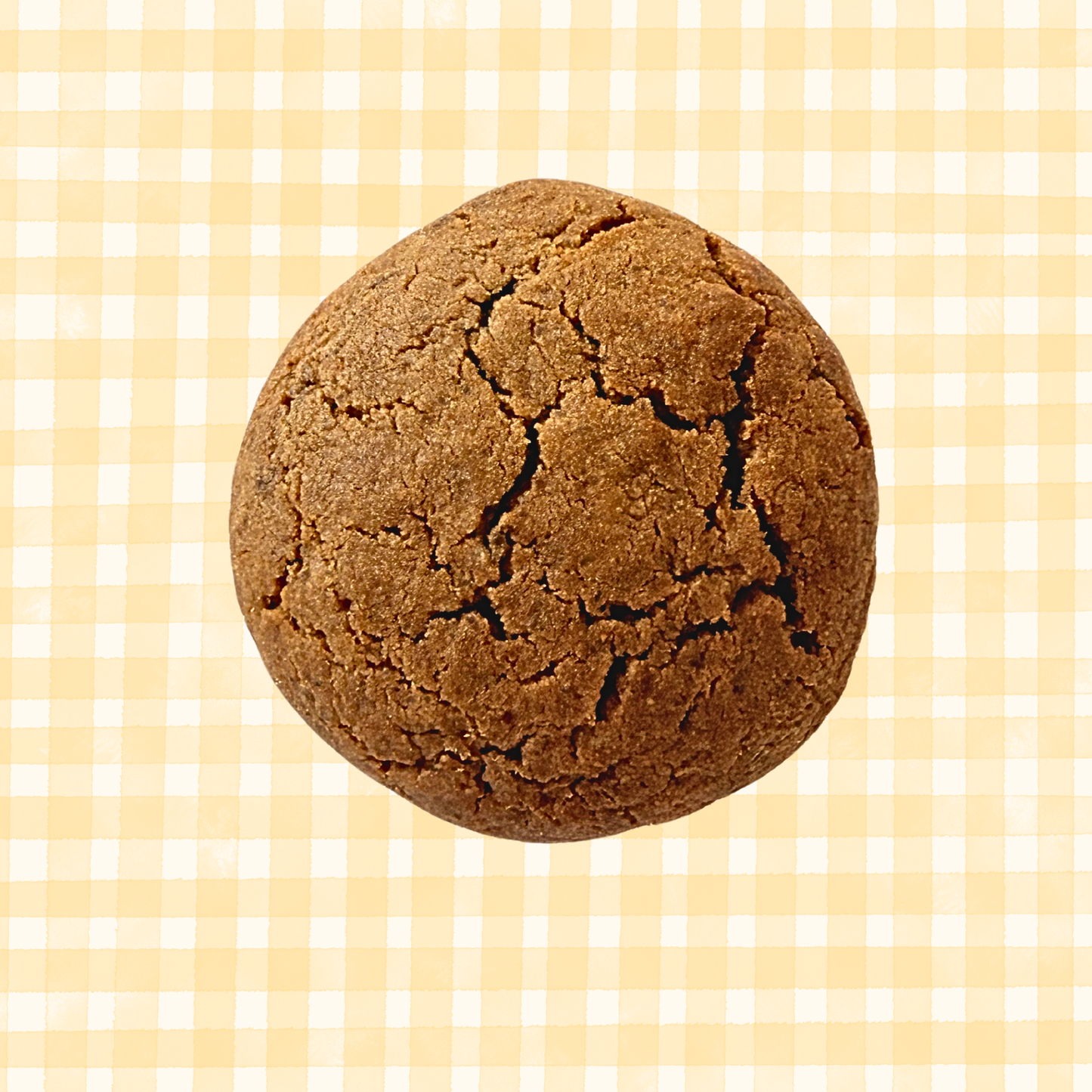 Chai Spice Coffee Cookie Jar